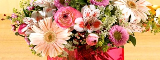 Happy Mothers' Day To All Happy Mothers' Day To All