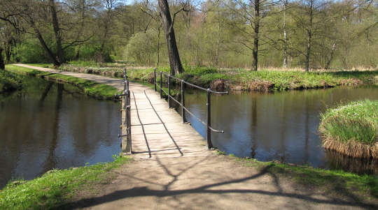 Finding True Freedom by Crossing the Bridge of Forgiveness Finding True Freedom by Crossing the Bridge of Forgiveness