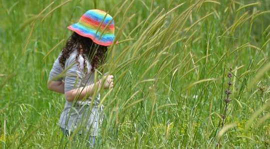 Practicing Environmental Compassion and Remembering That Nature is Our Home Practicing Environmental Compassion and Remembering That Nature is Our Home