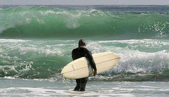 Are You Surfing the Waves of Life? Are You Surfing the Waves of Life?