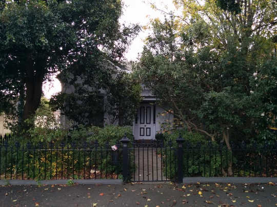  Gardens with dense vegetation made of trees, shrubs and grasses intercept substantial volumes of rainwater, decreasing runoff reaching sewage systems and waterways. This type of vegetation also helps to cool buildings during summer, reducing energy consumption. Courtesy Alessandro Ossola