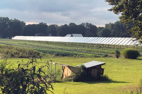 Agrivoltaics: Solar Panels on Farms Could Be a Win-Win Agrivoltaics: Solar Panels on Farms Could Be a Win-Win