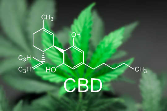 Cannabis Compounds Have Been Shown To Slow Colon Cancer In The Lab Cannabis Compounds Have Been Shown To Slow Colon Cancer In The Lab