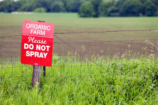 What Is The Risk Of Genetically Engineered Pesticides That Hang Out In The Soil? What Is The Risk Of Genetically Engineered Pesticides That Hang Out In The Soil?