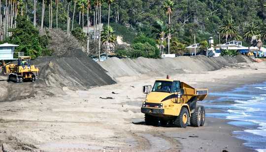 Grooming For Natural Beauty Messes Up Beach Biodiversity Grooming For Natural Beauty Messes Up Beach Biodiversity