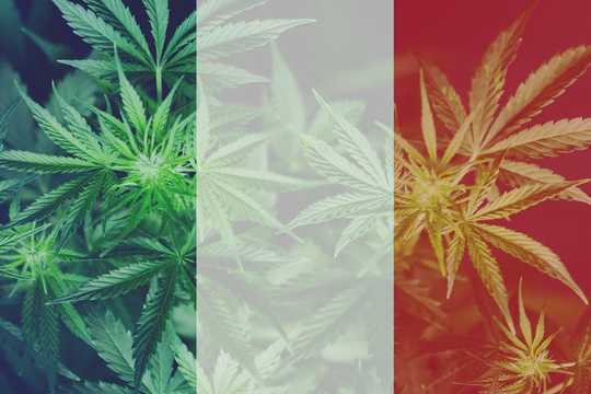 France Forgets Own Golden Age Of Medical Marijuana France Forgets Own Golden Age Of Medical Marijuana