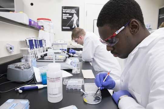 At These Colleges, Students Begin Serious Research Their First Year