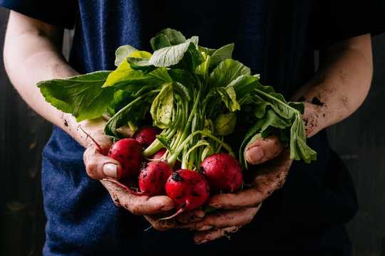 Organic Food Health Benefits Have Been Hard To Assess, But That Could Change Organic Food Health Benefits Have Been Hard To Assess, But That Could Change