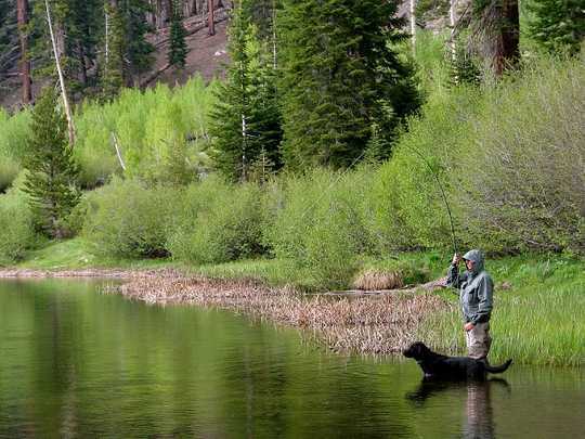 Why Sierra Nevada Pools And Riffles Are In Trouble Why Sierra Nevada Pools And Riffles Are In Trouble