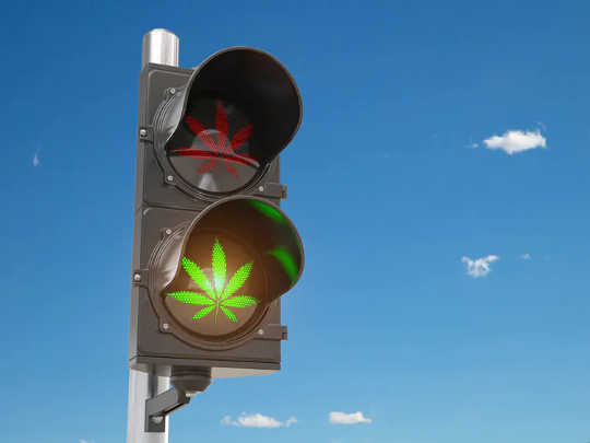 Overseas eyes are watching the referendum. Overseas eyes are watching the referendum. (ten pros and cons of legalizing cannabis)