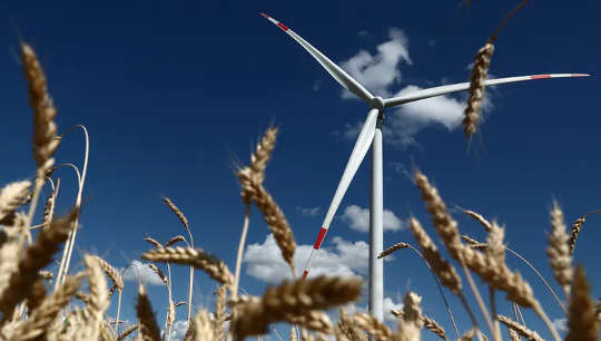 Renewable energy on farms can be cheaper and easier than grid connection.