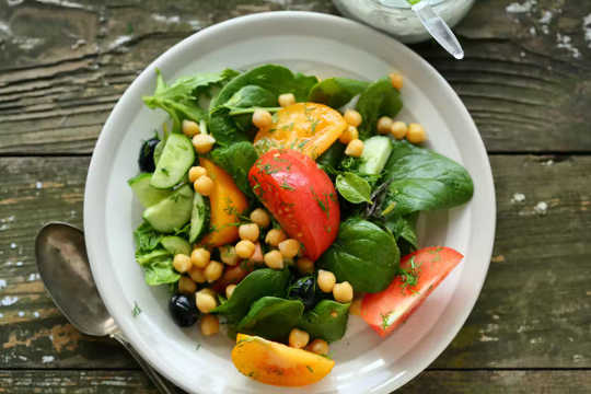 Why Low-carb Diets Help You Lose Weight? low carb diets are healthy 2 19