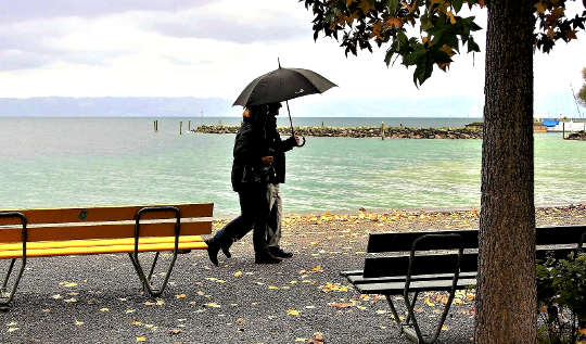 a couple walking in the rain under an umbrella