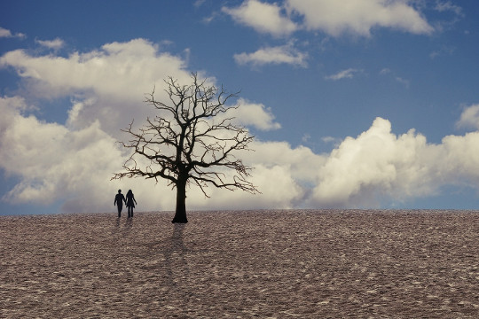 a man and woman holding hands in a barren field with a barren dried out tree
