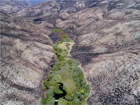 How Beavers And Oysters Are Helping Restore Lost Ecosystems how beavers improve ecosystems2 1 28