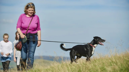 walking your dog safely 5 7