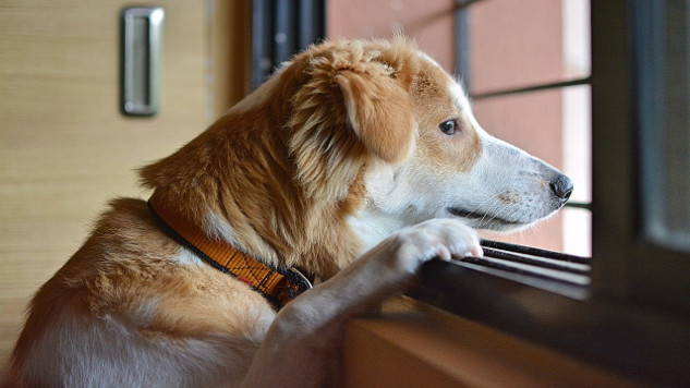 The Secret to Beating Loneliness: It's Not What You Think