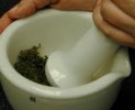 Herbal Medicine