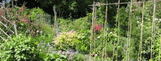 10 Steps to Starting a Community Garden by Peter Ladner