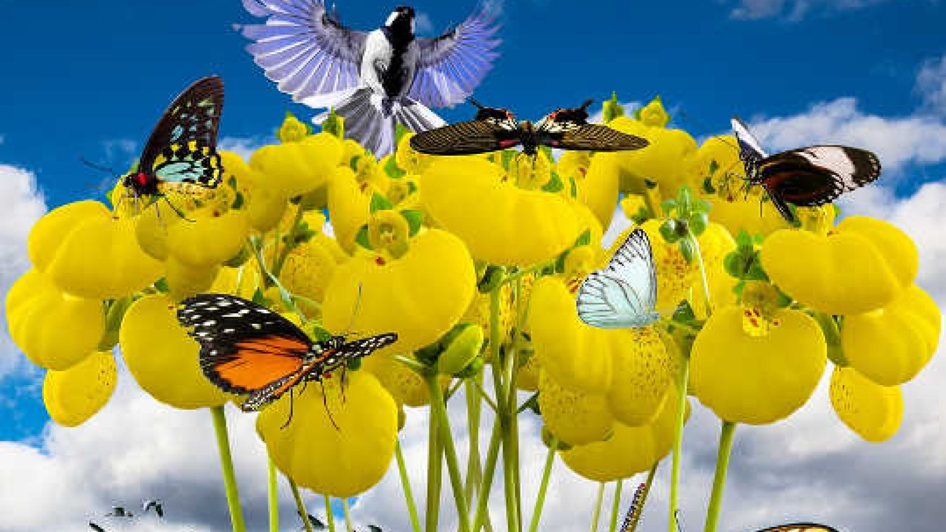 Transforming Crises into Opportunities for Growth