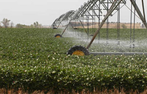 Challenges Facing the Ogallala Aquifer and Farmers