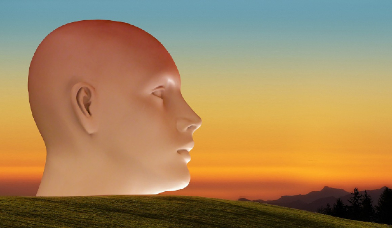 Zen, Shrooms, and Shrinks: One Woman’s Journey